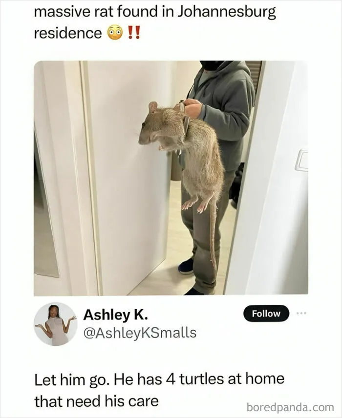 1.7M People Are Crying Laughing At The Memes From This Page, So Here Are The 49 Best