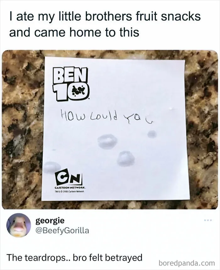 1.7M People Are Crying Laughing At The Memes From This Page, So Here Are The 49 Best