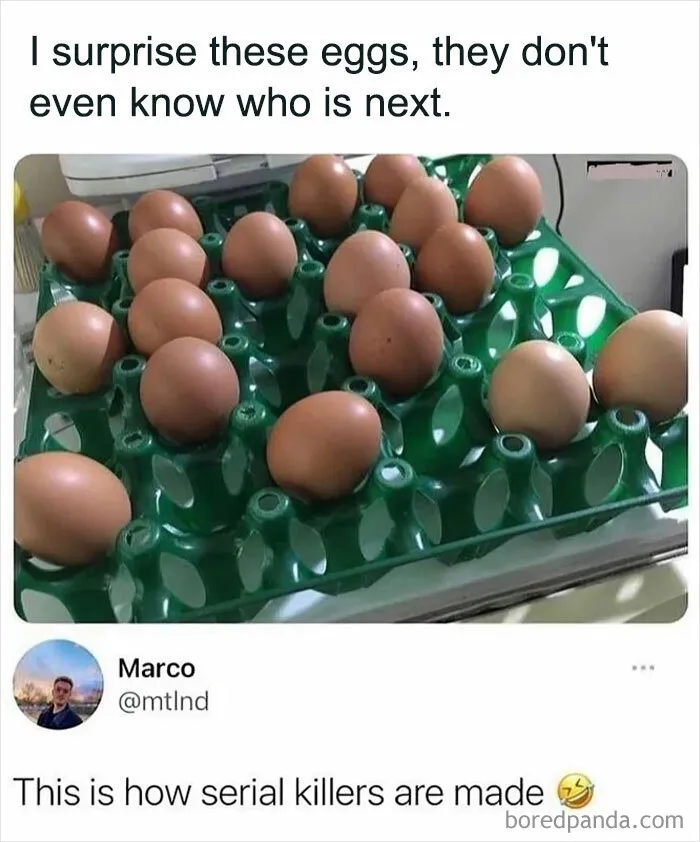 1.7M People Are Crying Laughing At The Memes From This Page, So Here Are The 49 Best