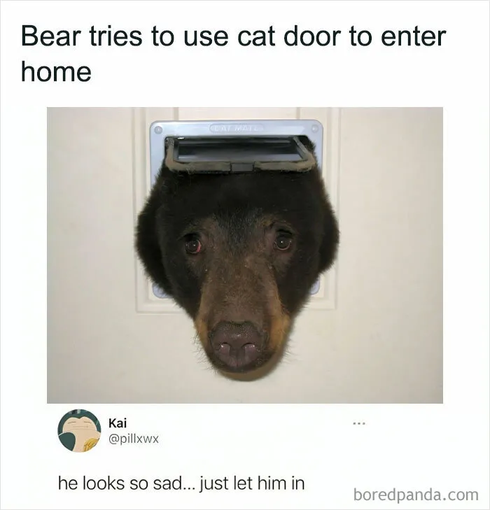 1.7M People Are Crying Laughing At The Memes From This Page, So Here Are The 49 Best
