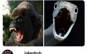 1.7M People Are Crying Laughing At The Memes From This Page, So Here Are The 49 Best