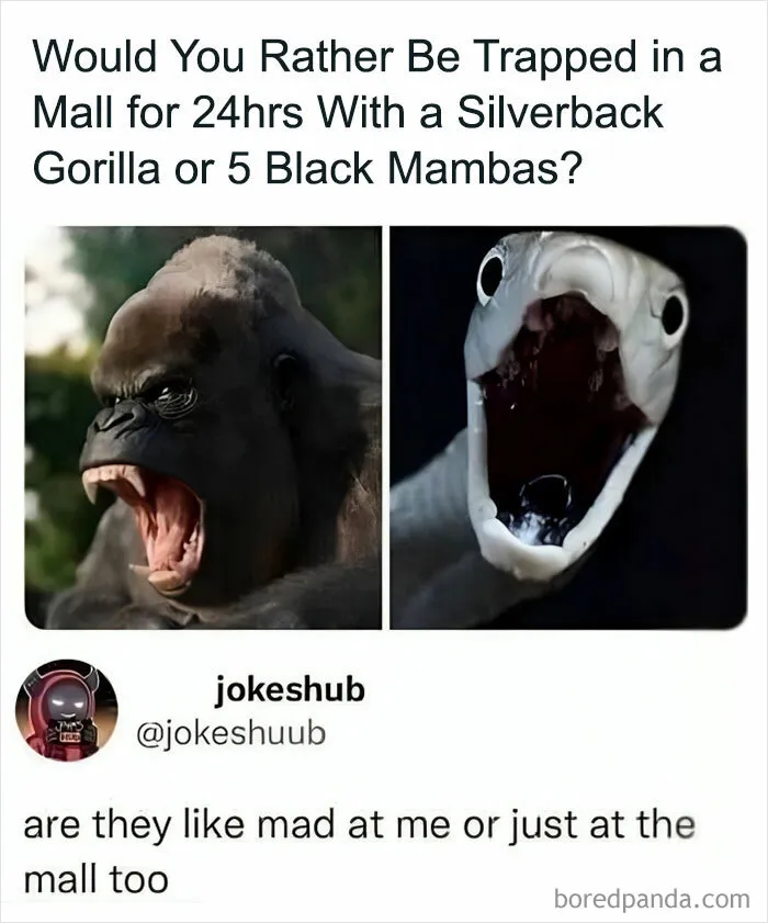 1.7M People Are Crying Laughing At The Memes From This Page, So Here Are The 49 Best