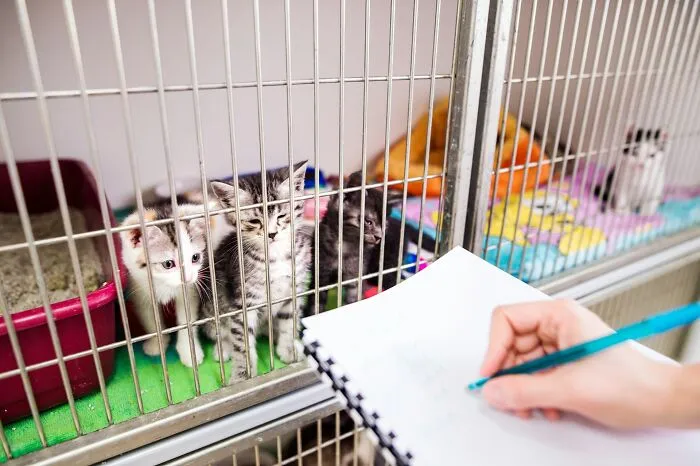 30 People Reveal Which Professions Are Hell Even Though They Sound Fun