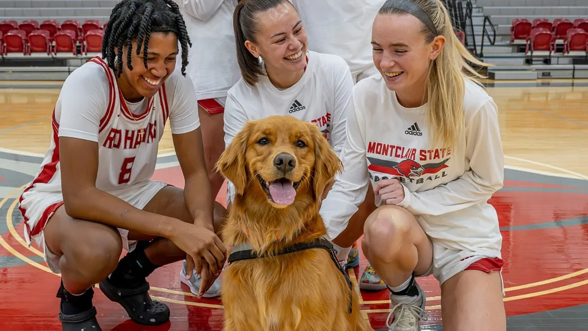 College B-Ball Team Employs Golden Retriever As Their ‘Director Of Pawsitivity,’ And Netizens Love It