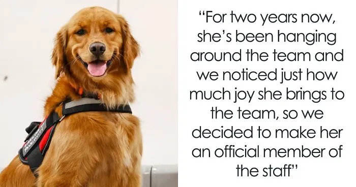 College B-Ball Team Employs Golden Retriever As Their ‘Director Of Pawsitivity,’ And Netizens Love It