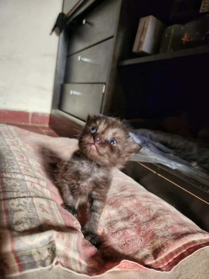 His First Smile [oc]