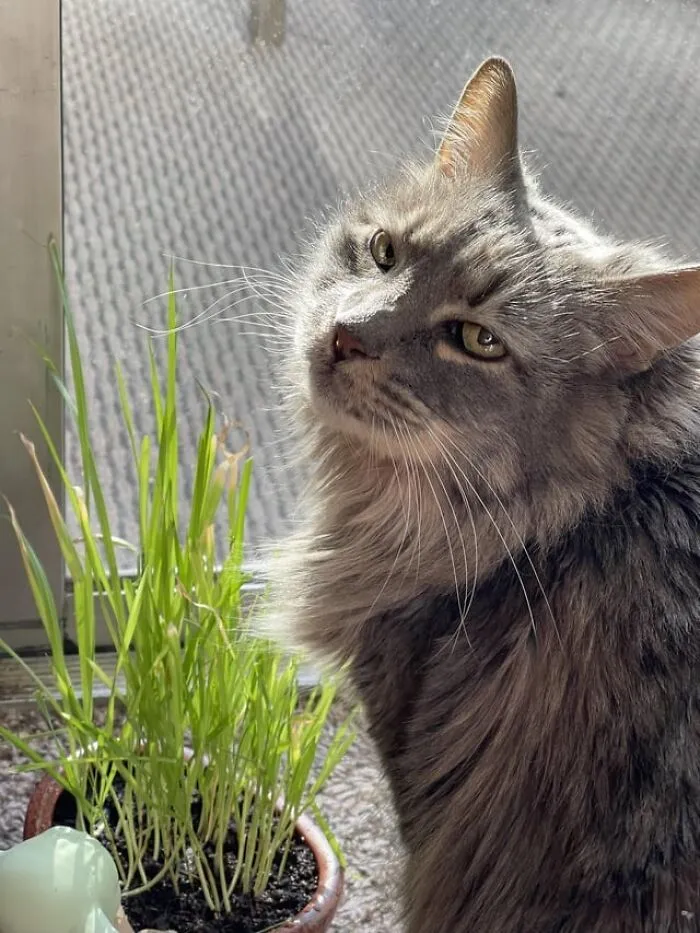 Bun Bun Turns 18 Today!!