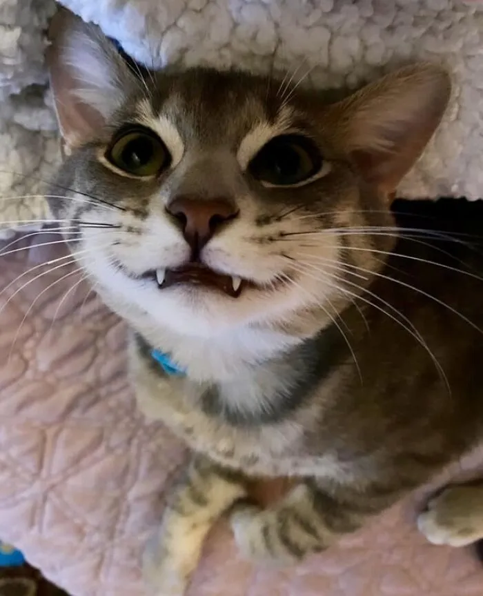 Remy Baby Loves To Smile!!!