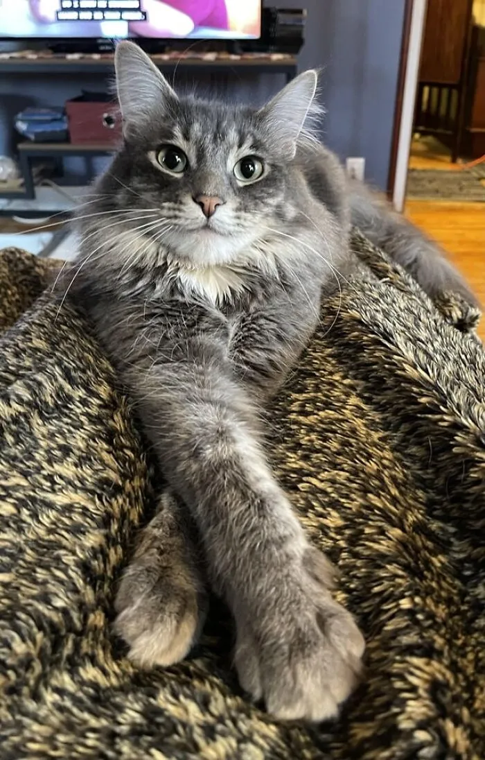 Mr. P Says Hello