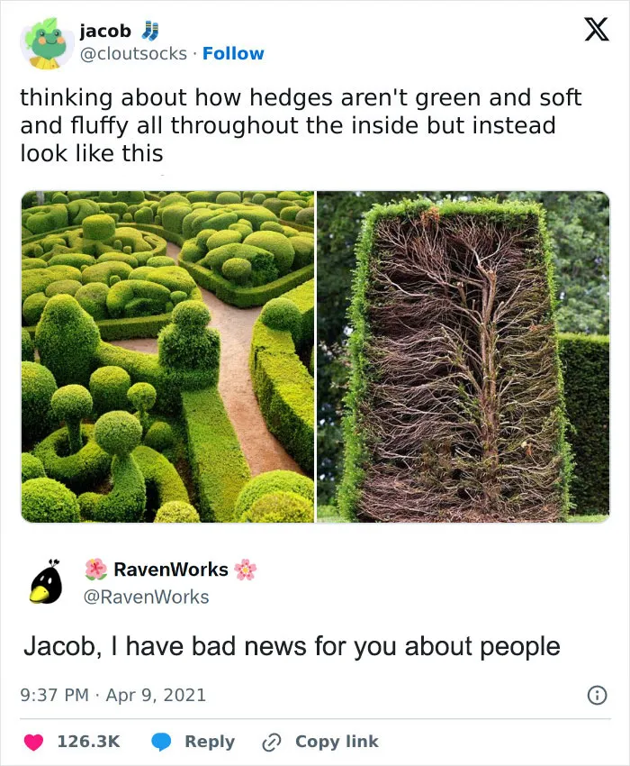 40 Hilarious ‘Science Memes’ That Do Not Require A PhD (New Pics)