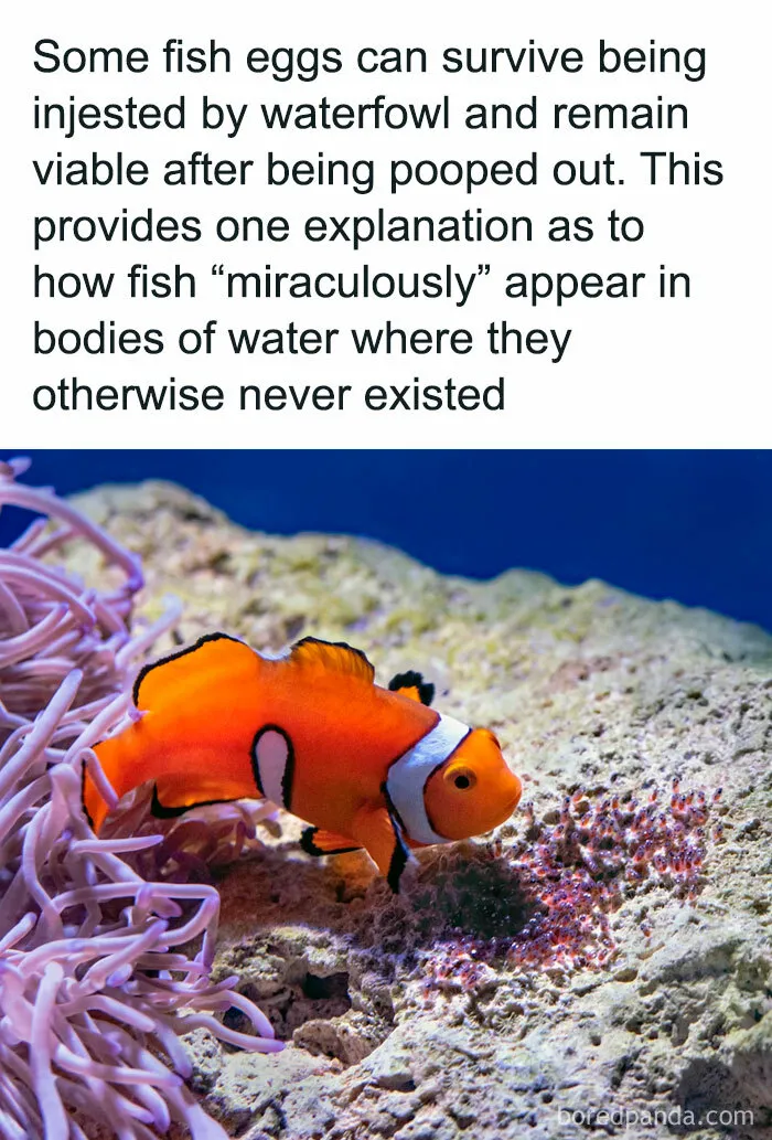 “How Everything Works”: 30 Pics From This Page That Will Probably Teach You Something New