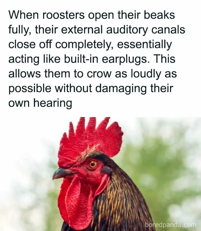 “How Everything Works”: 30 Pics From This Page That Will Probably Teach You Something New