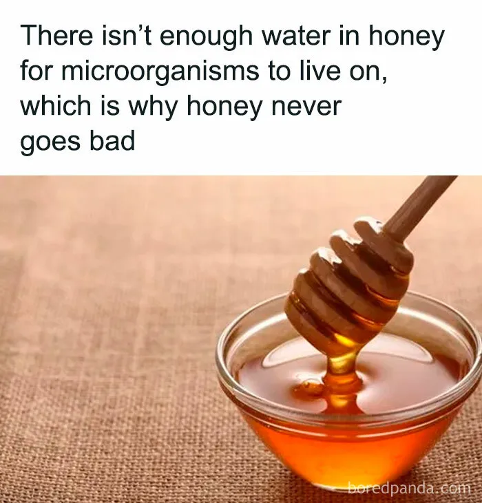 “How Everything Works”: 30 Pics From This Page That Will Probably Teach You Something New