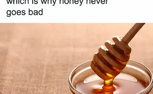 “How Everything Works”: 30 Pics From This Page That Will Probably Teach You Something New