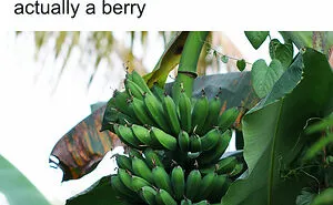 “How Everything Works”: 30 Pics From This Page That Will Probably Teach You Something New