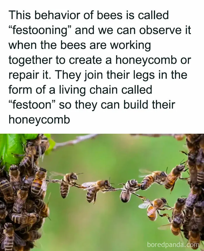 “How Everything Works”: 30 Pics From This Page That Will Probably Teach You Something New