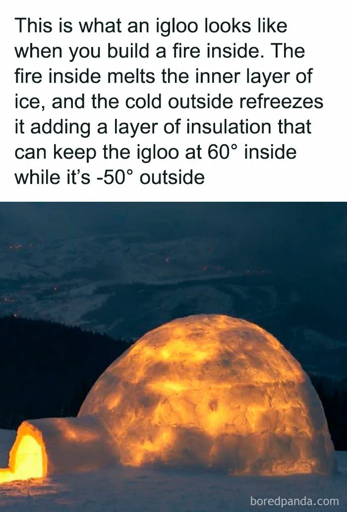 “How Everything Works”: 30 Pics From This Page That Will Probably Teach You Something New