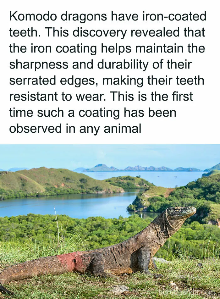 “How Everything Works”: 30 Pics From This Page That Will Probably Teach You Something New