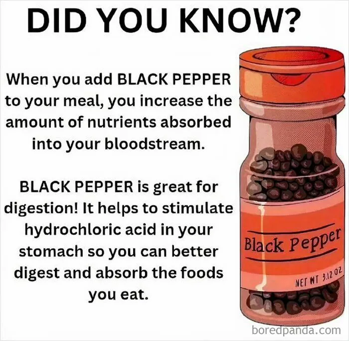 “How Everything Works”: 30 Pics From This Page That Will Probably Teach You Something New