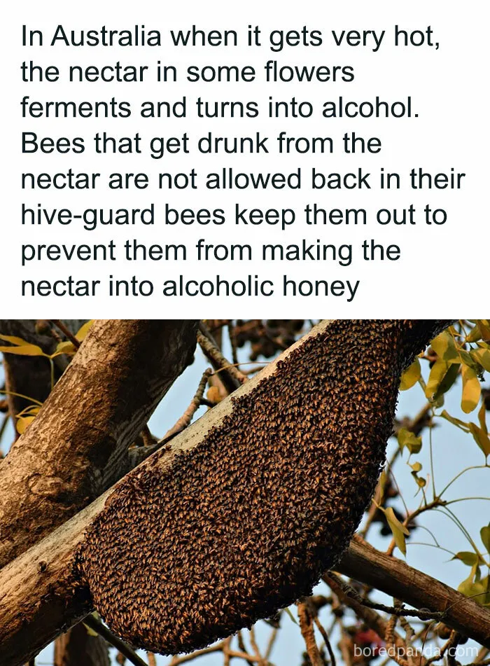 “How Everything Works”: 30 Pics From This Page That Will Probably Teach You Something New