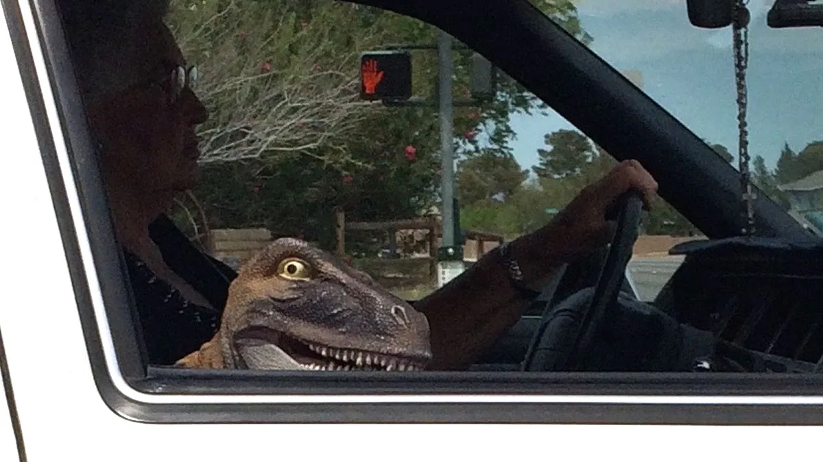 70 Times People Saw Something Interesting On The Road And Just Had To Take A Pic (New Pics)
