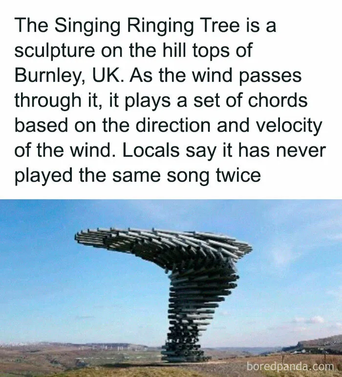 50 Interesting Facts And Curiosities To Take Your Mind Off The Stress Of The Holiday Season