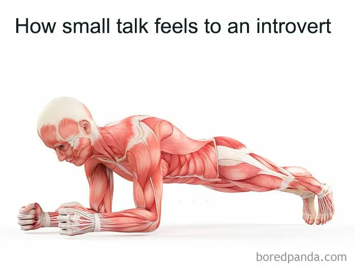 43 Memes For The Introverts Of The World That Are Spot-On (New Pics)
