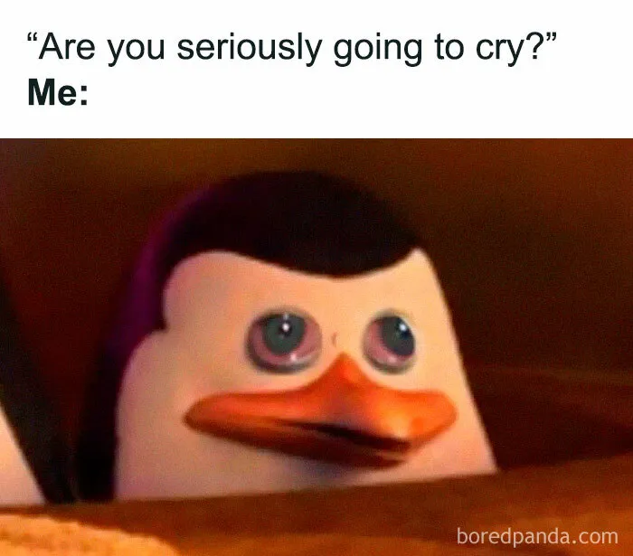 43 Memes For The Introverts Of The World That Are Spot-On (New Pics)