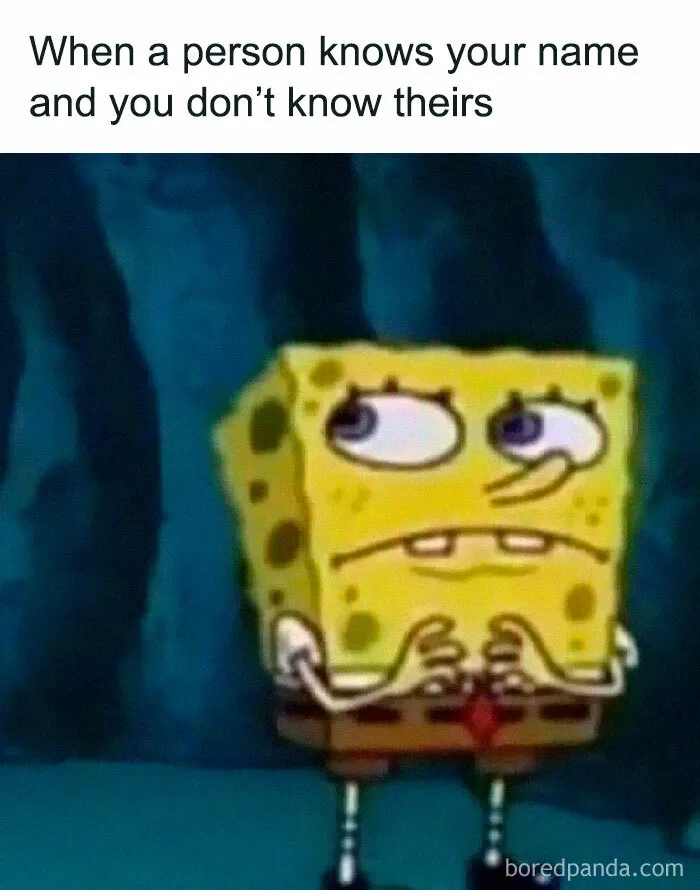 43 Memes For The Introverts Of The World That Are Spot-On (New Pics)