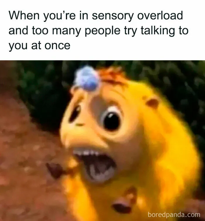 43 Memes For The Introverts Of The World That Are Spot-On (New Pics)