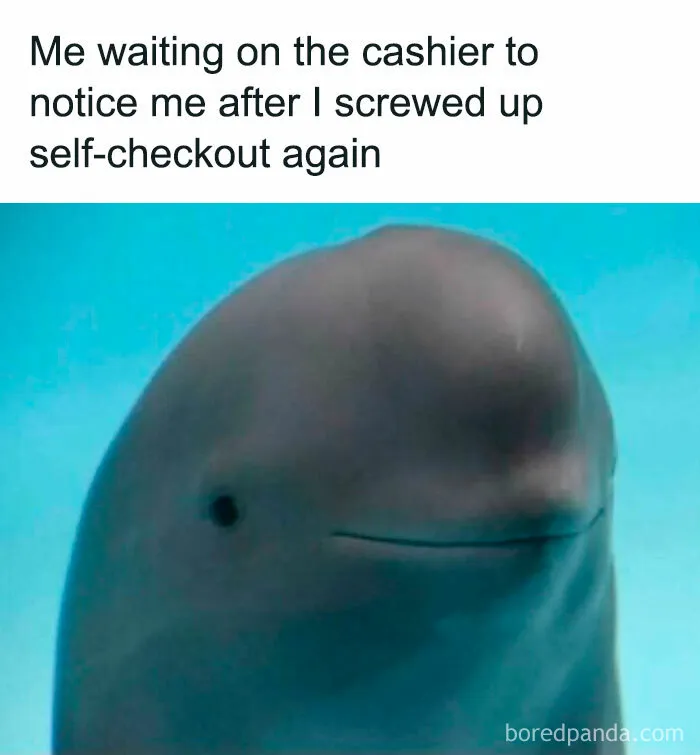 43 Memes For The Introverts Of The World That Are Spot-On (New Pics)