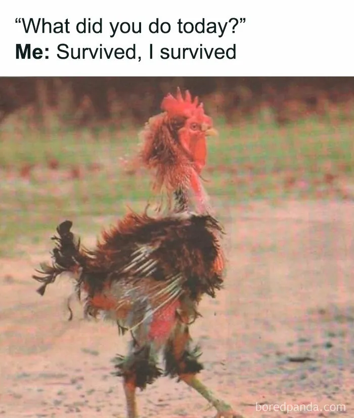 43 Memes For The Introverts Of The World That Are Spot-On (New Pics)