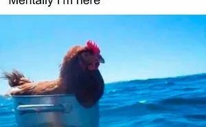 43 Memes For The Introverts Of The World That Are Spot-On (New Pics)