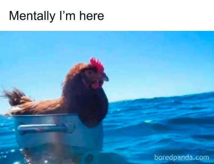 Introvert-Anxiety-Relatable-Memes