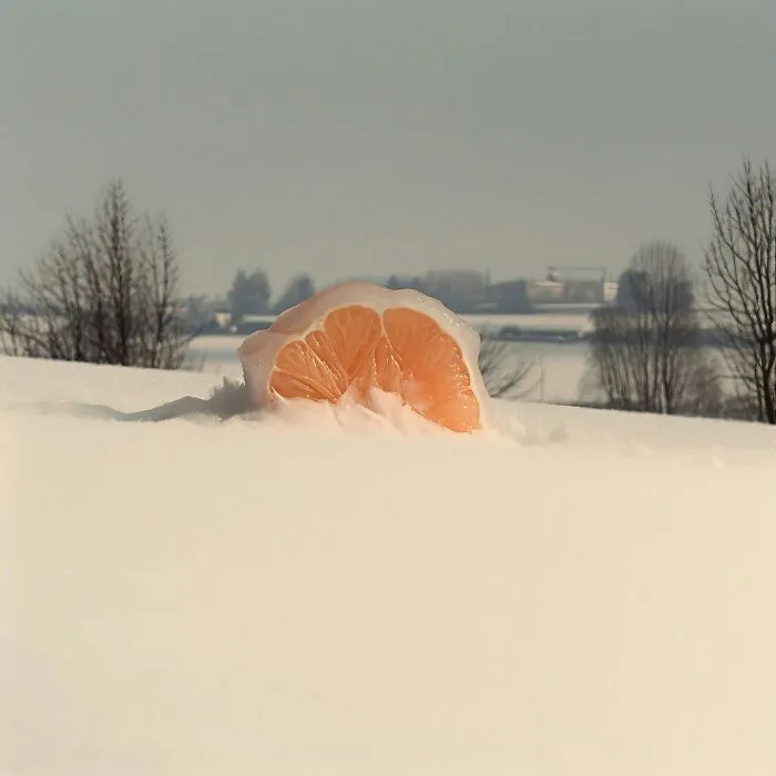 This Photographer Captured 45 Magical Moments, Revealing The Beauty In Everyday Objects