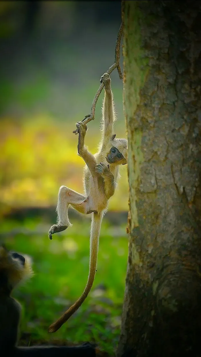 This Photographer Takes Beautiful Close-Up Photos Of Wildlife (27 New Pics)