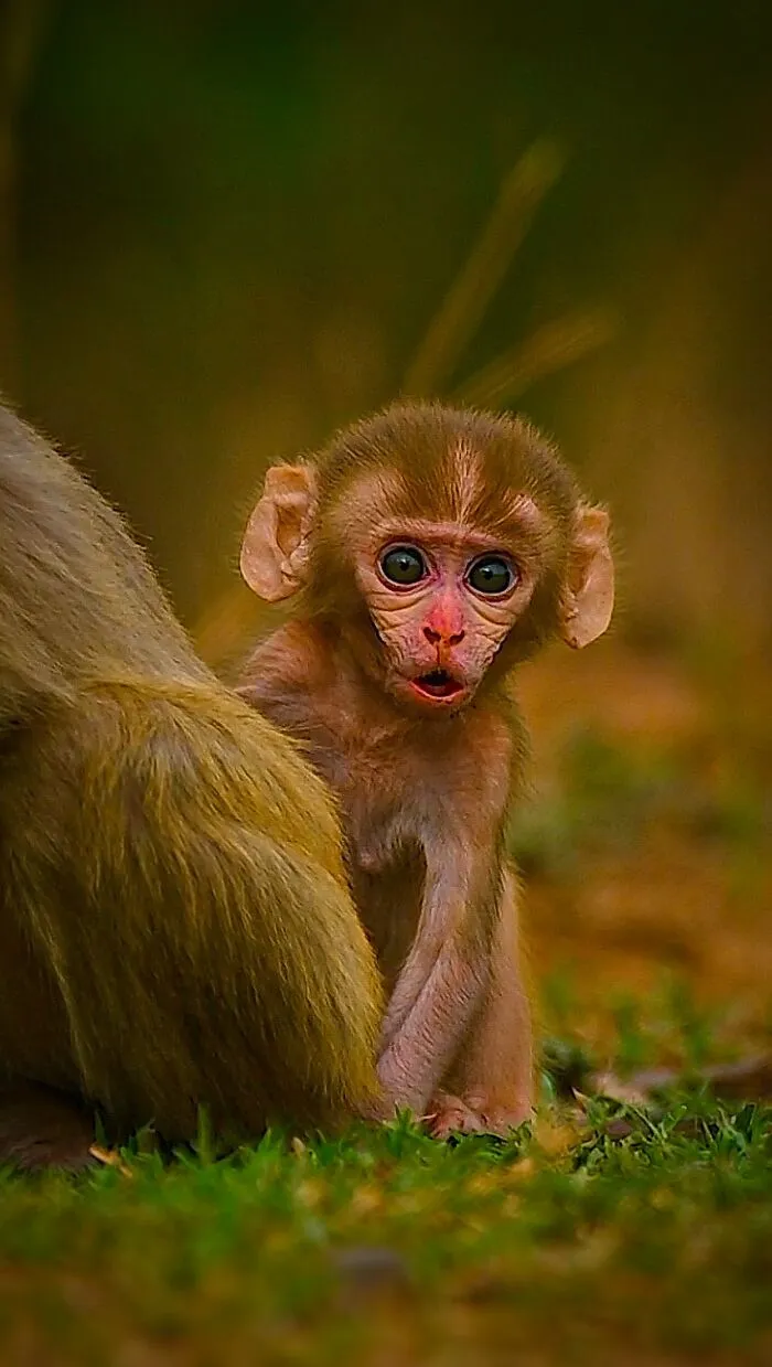 This Photographer Takes Beautiful Close-Up Photos Of Wildlife (27 New Pics)