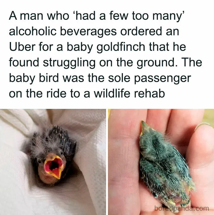 F***ing Hero