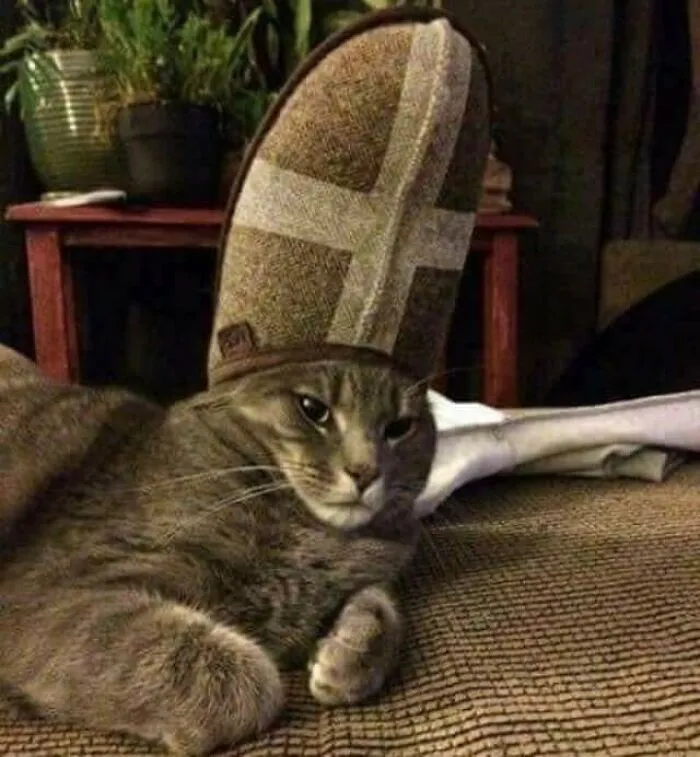 32 Ameowsing Pics Of Stuff On Cats That Might Make You An Instant Fan Of Felines