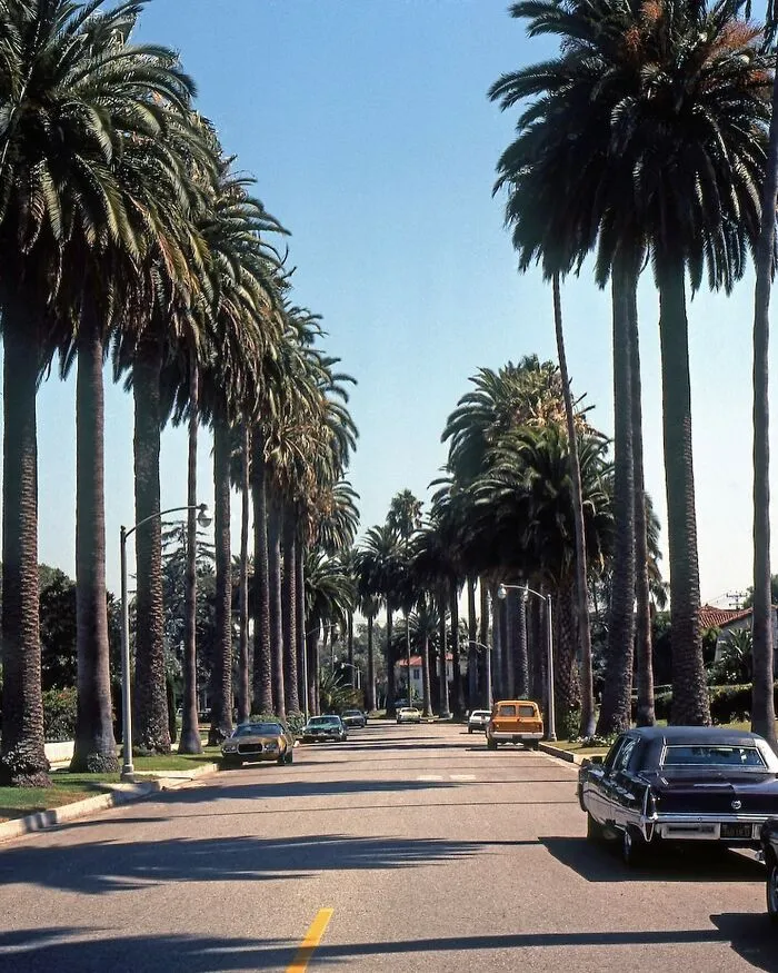 Hillcrest Rd. In Beverly Hills