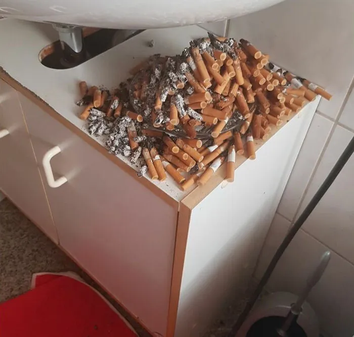 My Parents Are The Reason Why I Hate Smoking