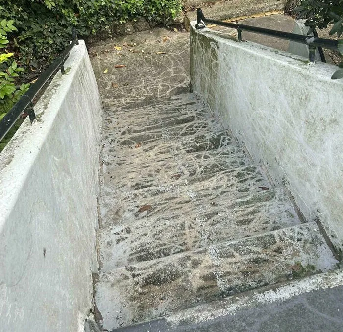 Landlord Hired A Guy To Power Wash The Stairs