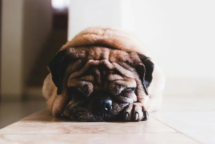 30 Unattractive Things That People Wish Others Would Stop Doing