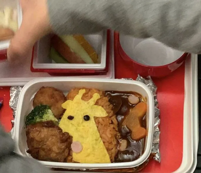 El almuerzo de mi hijo en una aerolínea japonesa