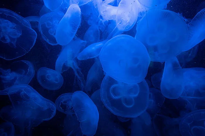 30 Stories Of People Witnessing Something Wild And Shocking At The Beach