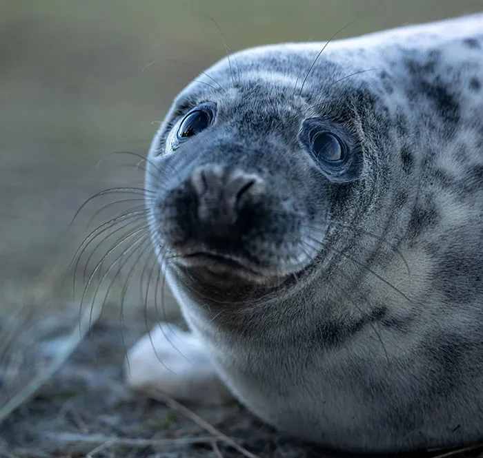 30 Stories Of People Witnessing Something Wild And Shocking At The Beach