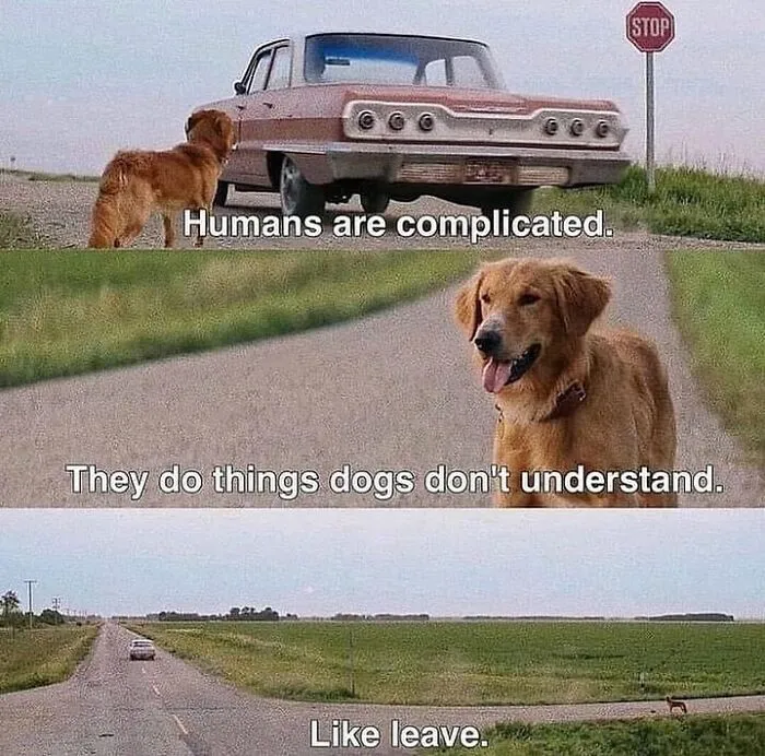 A Dog’s Purpose (2017)