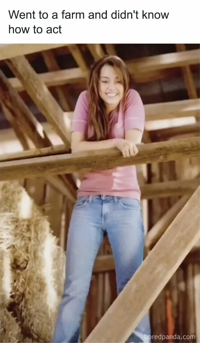 50 Unhinged 2000s Pop Culture Moments That Had No Business Being This Iconic