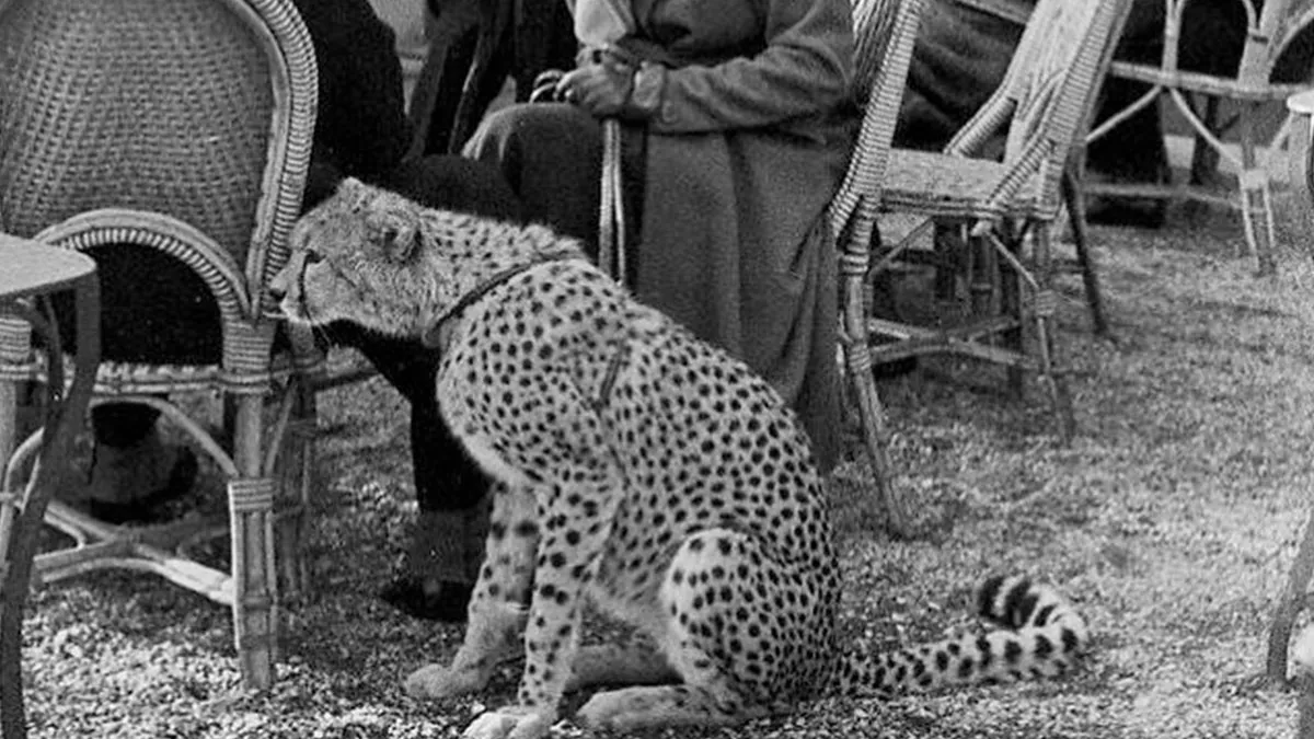30 Beautiful Vintage Photos That Prove Pets Were Always Family