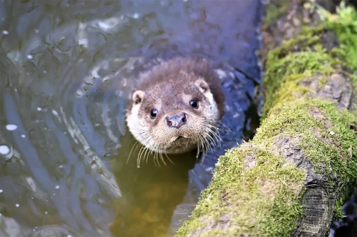 30 Unusual Facts No One Really Asked For, But Are Pretty Cool To Know